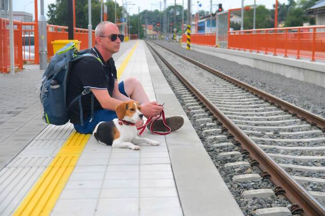 電車に犬を持ち込みする時の注意点とは！？手続きや料金など乗車前の確認事項について解説